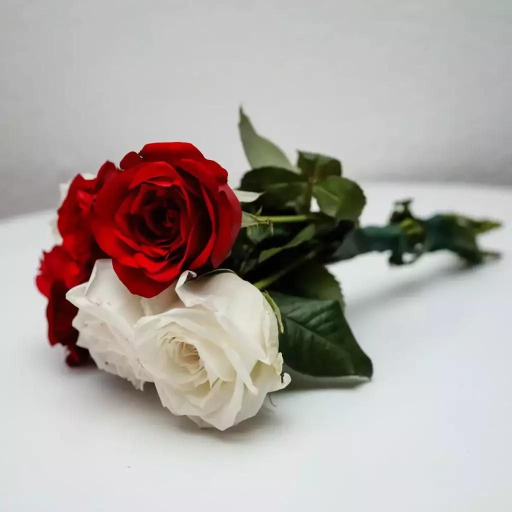erros comuns ao escolher um buquê de rosas vermelhas e brancas