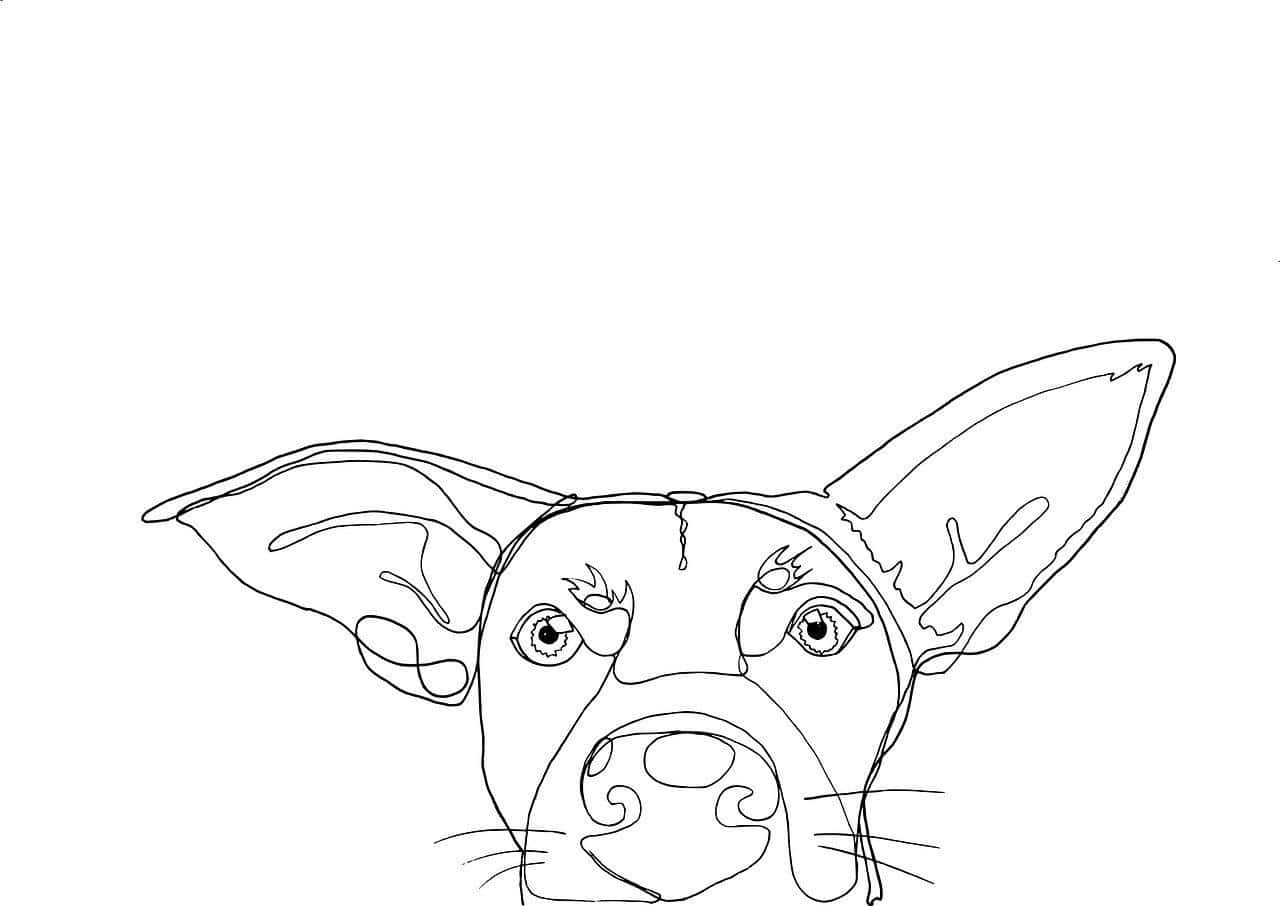 cachorro desenho vs cachorro real