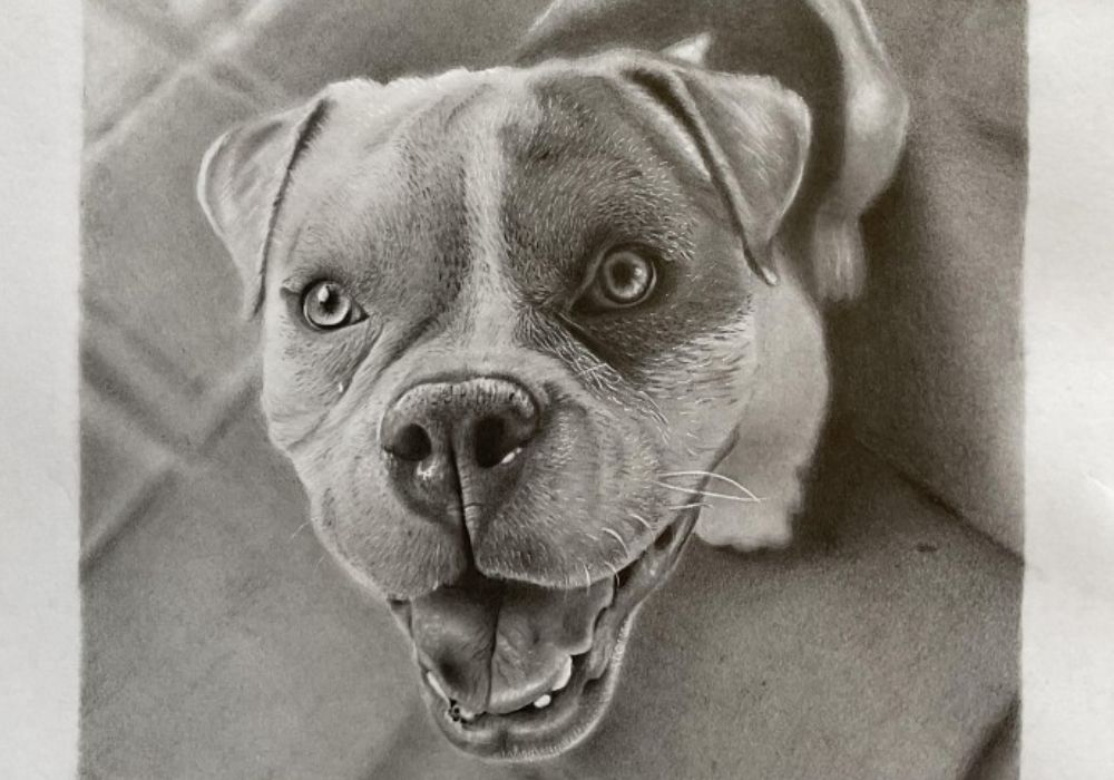 custo para contratar um ilustrador de cachorro desenho
