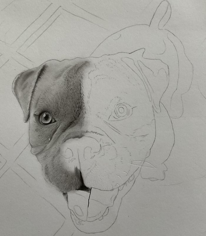 como desenhar um cachorro fofo