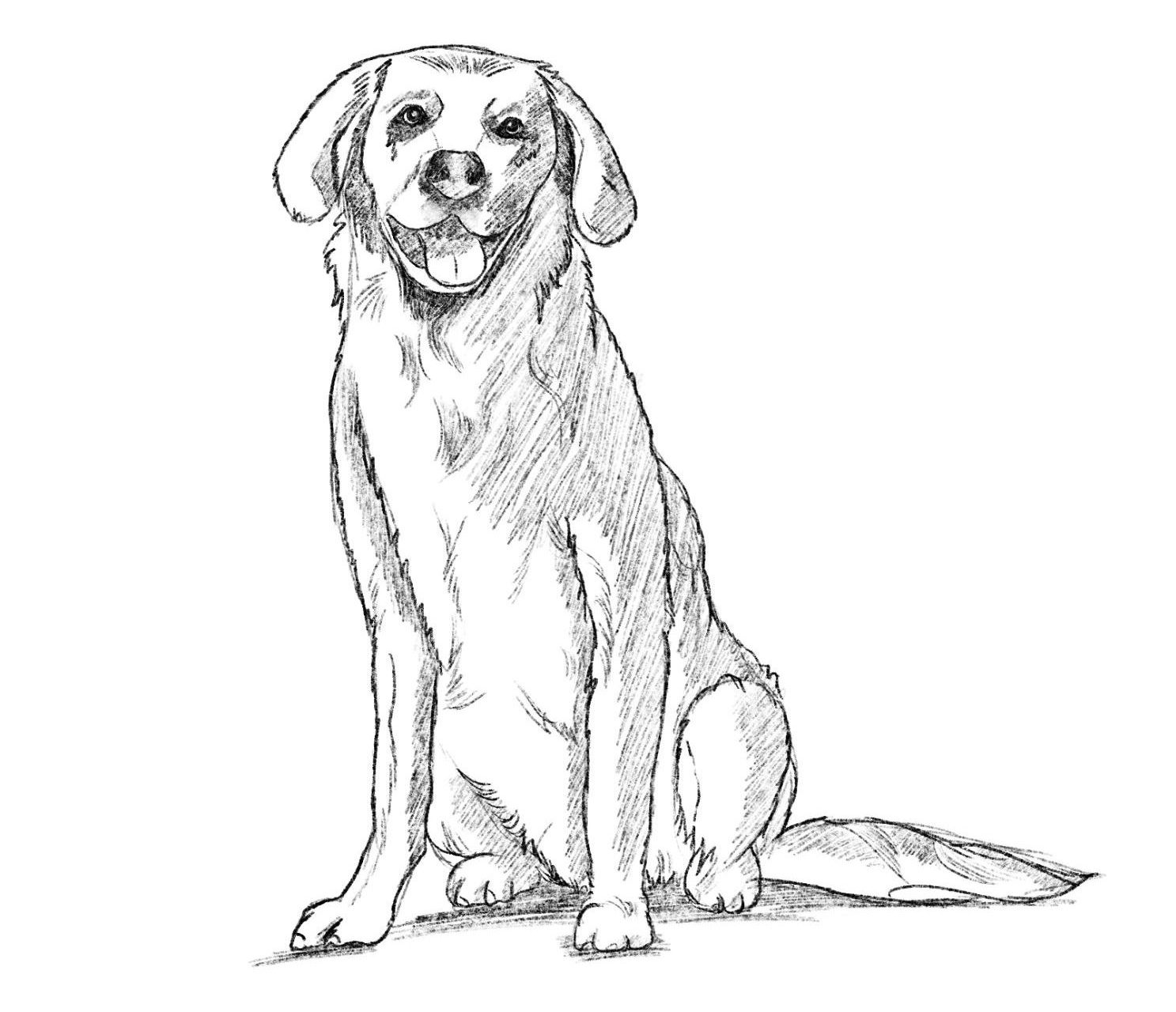 desenhar cachorro fácil e rápido