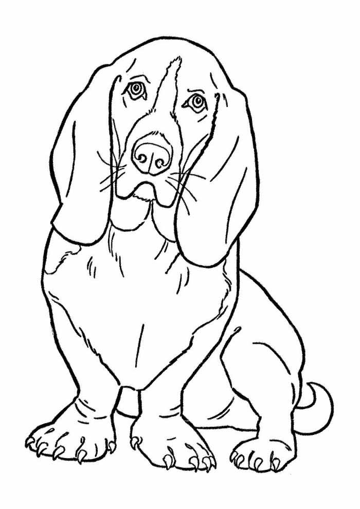 desenhar cachorro sentado