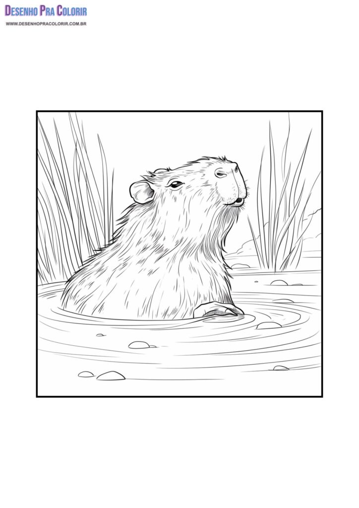 capivara para colorir