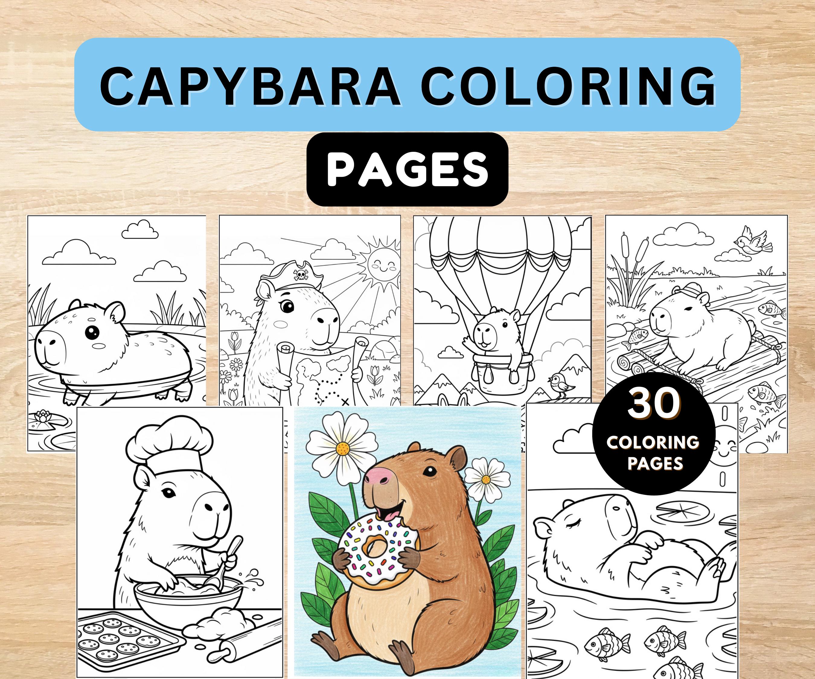 desenho de capivara simples vs detalhado para colorir