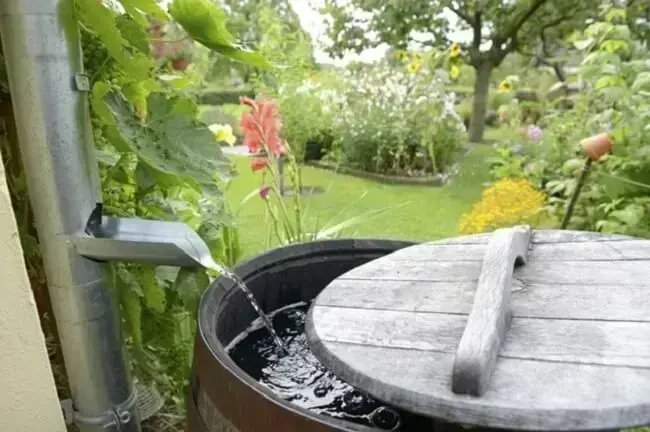 captação de água da chuva