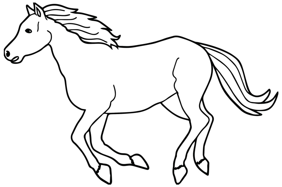 cavalo desenho