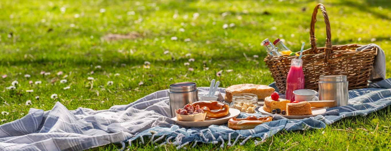 erros comuns ao organizar um piquenique