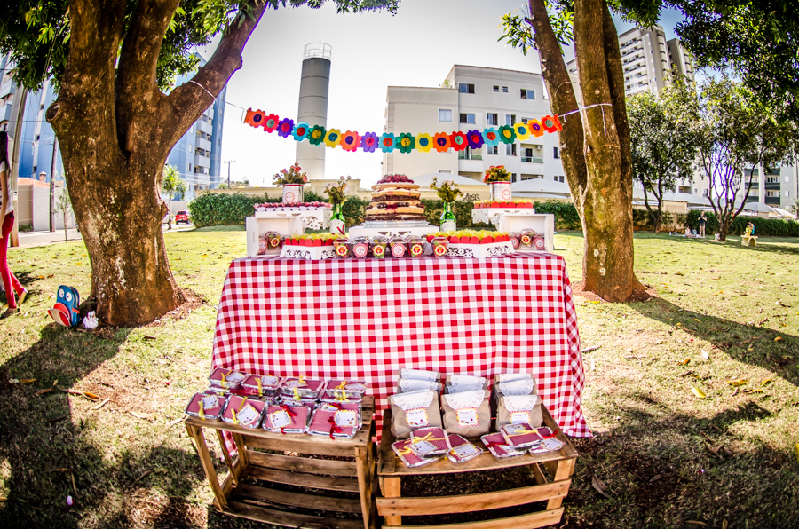 piquenique vs. churrasco: qual a melhor opção?