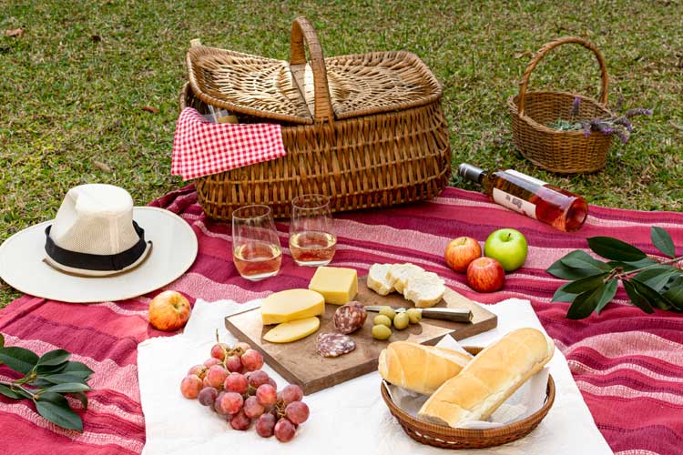 erros comuns ao organizar um piquenique