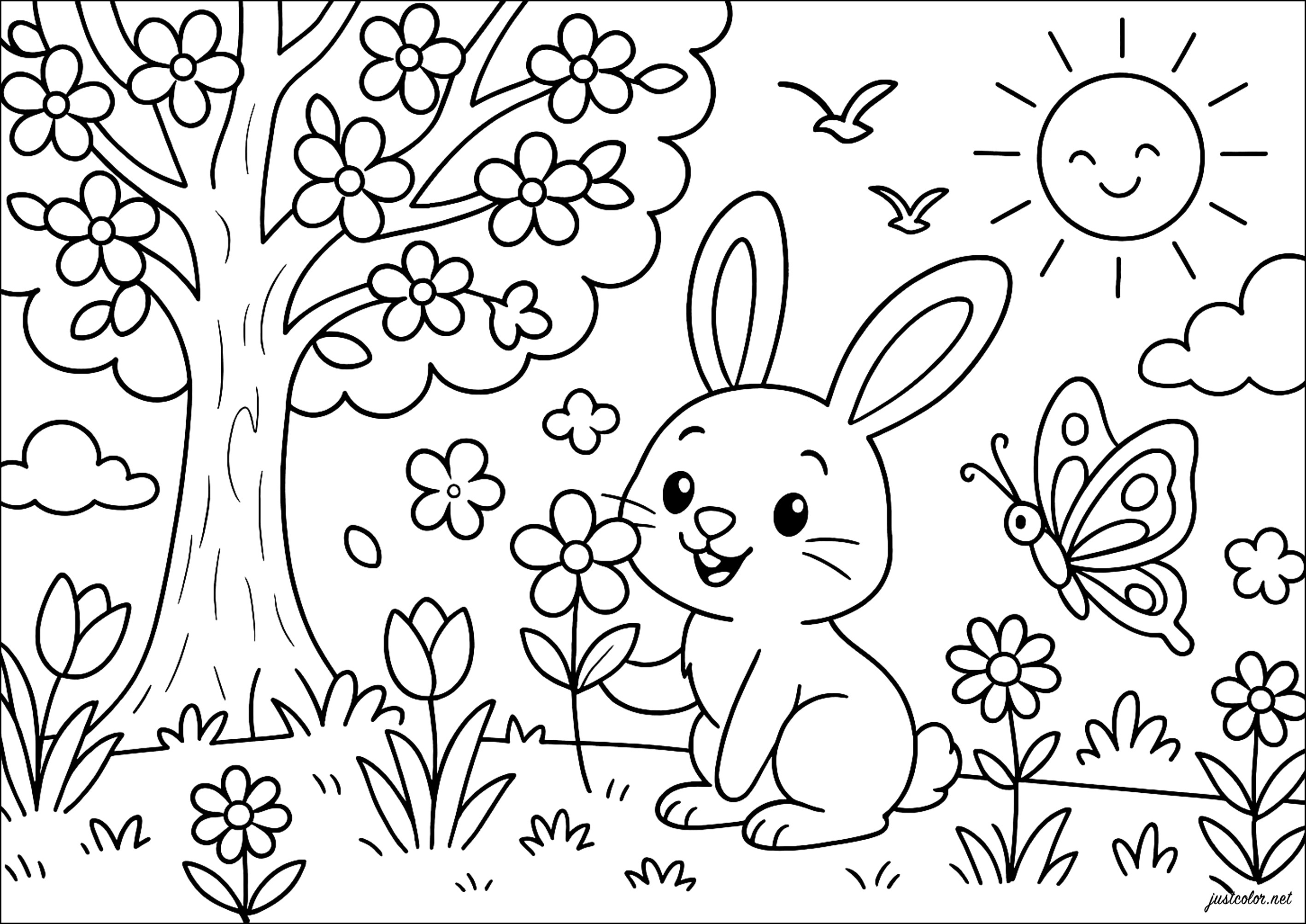 desenhos de coelhos para pintar