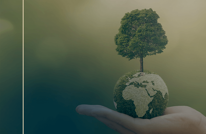 erros comuns na gestão ambiental que prejudicam o lucro