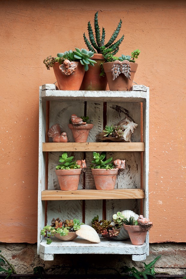 como decorar prateleiras com mini vasos de suculentas