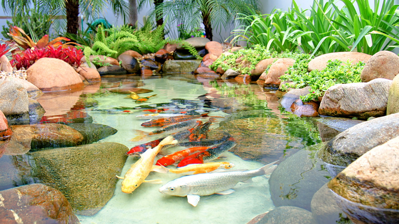 como fazer um lago no jardim