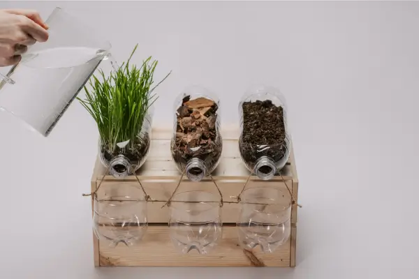 erros comuns irrigacao gotejamento jardim vertical