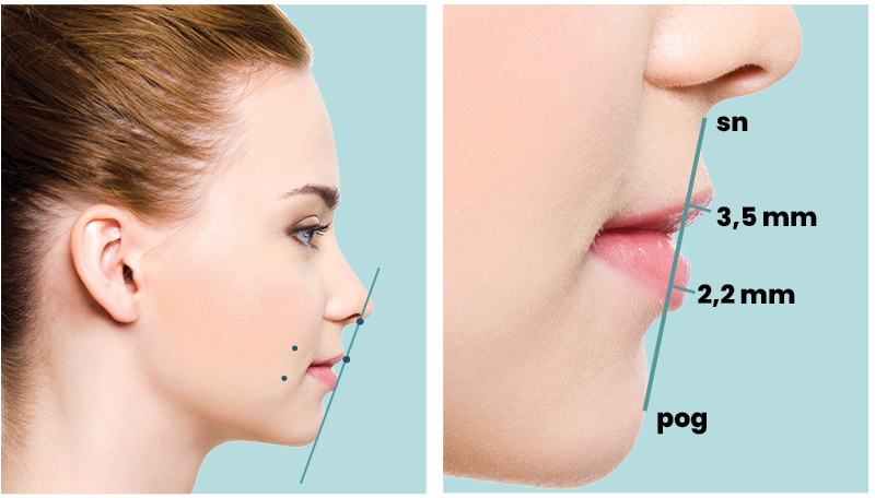 contorno de nariz para formato específico