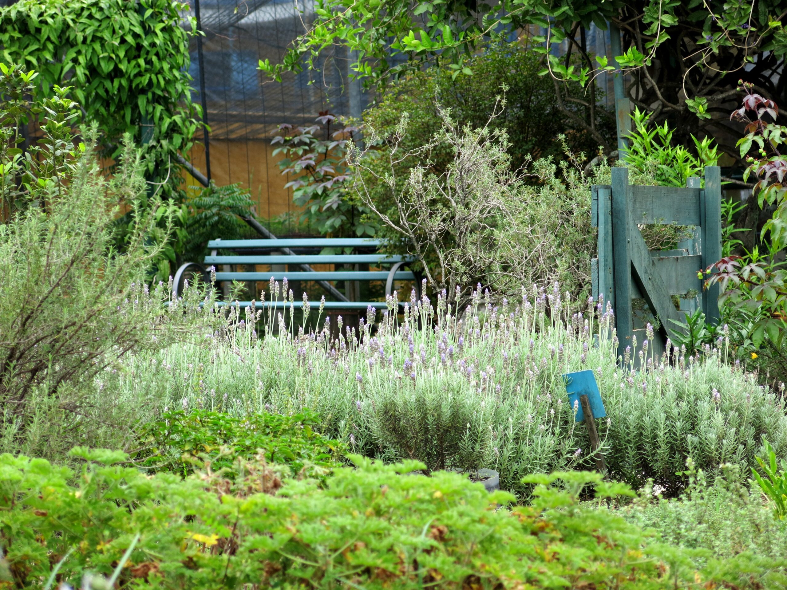 erros comuns no controle biologico de pragas