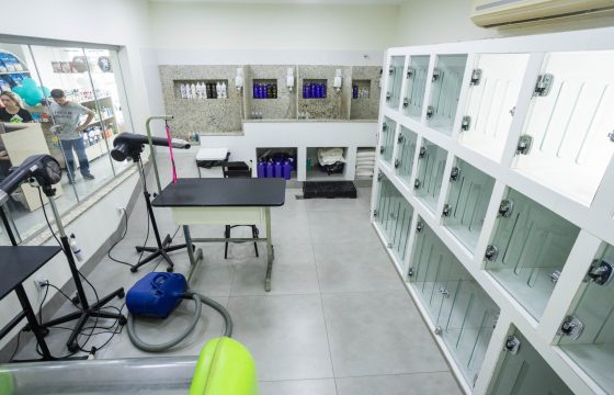 quanto custa decorar um centro de estética animal