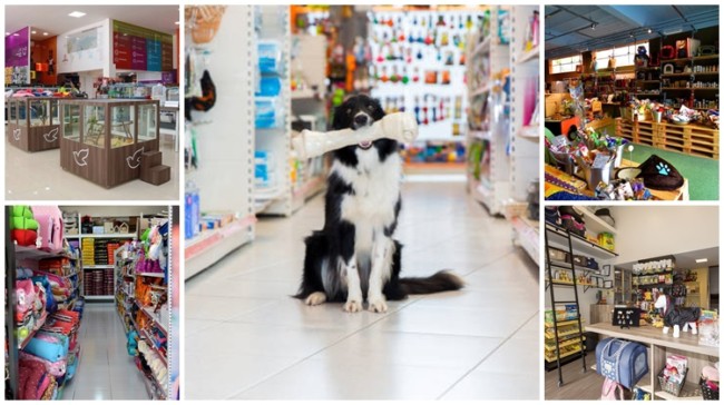 decoração minimalista para centro de estética animal