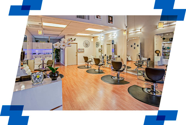 decoração de centro de estética animal