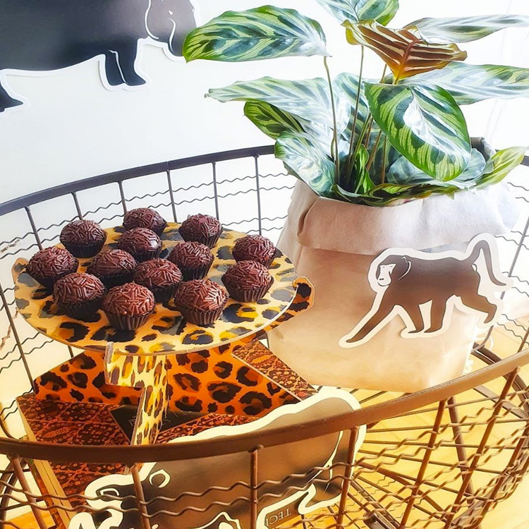 decoração de centro de estética animal vs clínica veterinária