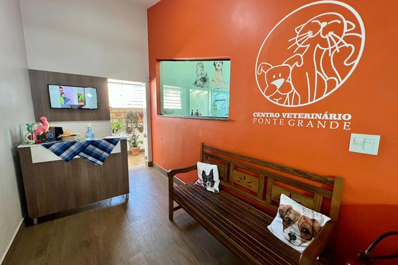 decoração de centro de estética animal vs clínica veterinária