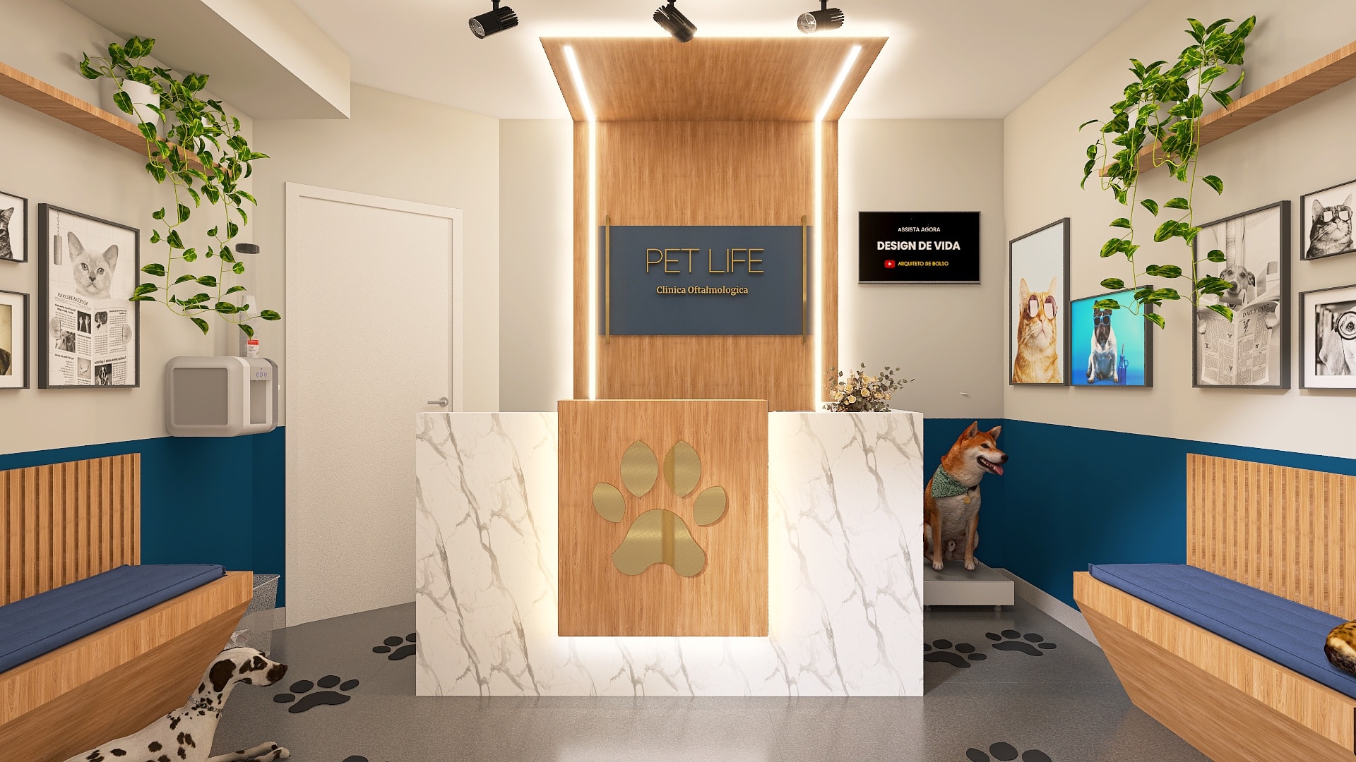 quanto custa decorar um centro de estética animal