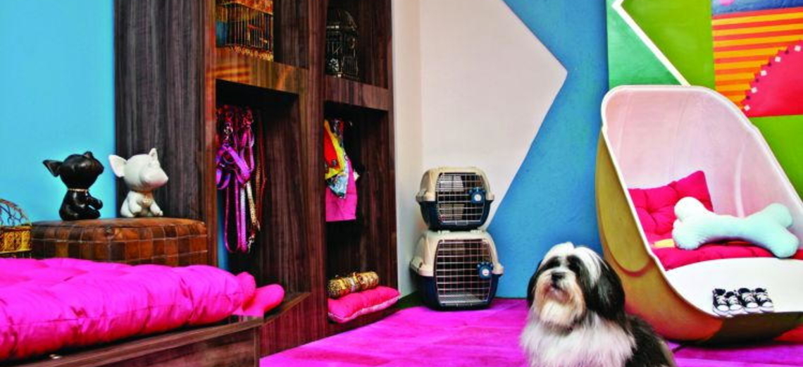 ideias de decoração para centro de estética animal