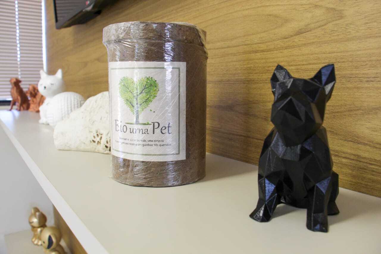 ideias de decoração para crematório de animais