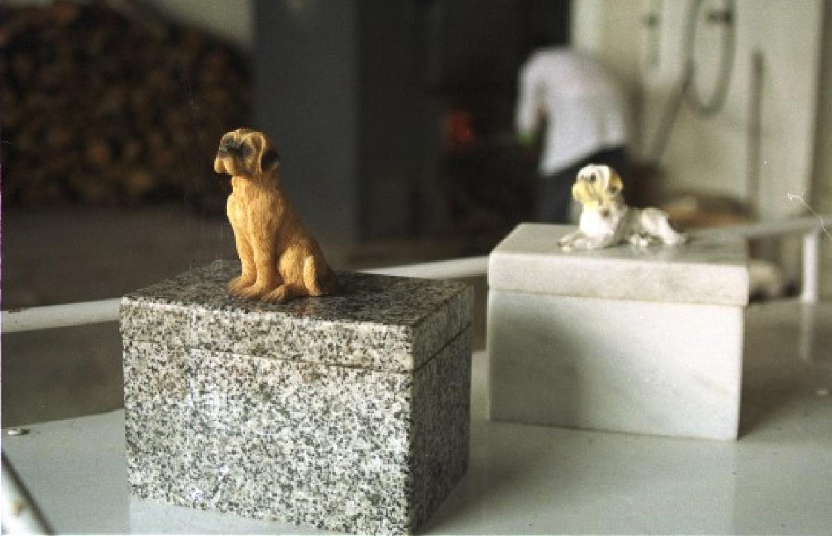 ideias de decoração para crematório de animais