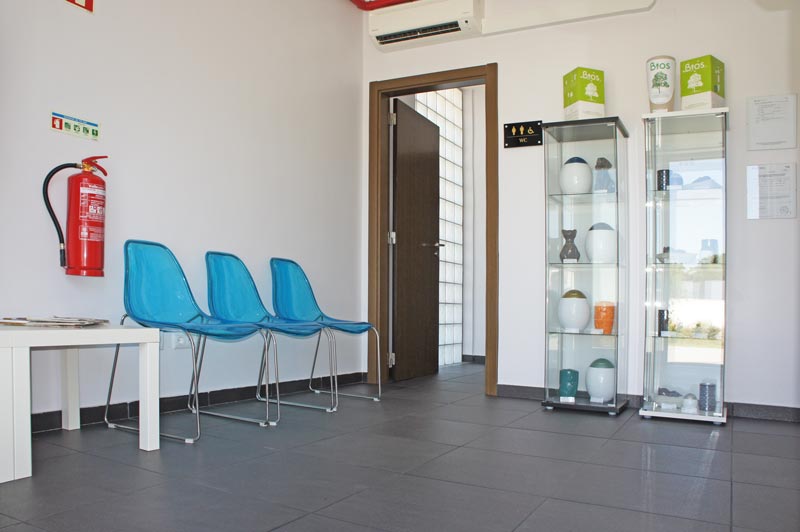 erros comuns na decoração de crematório pet