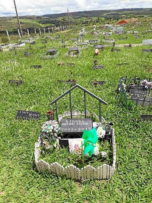 crematório de animais vs crematório humano decoração