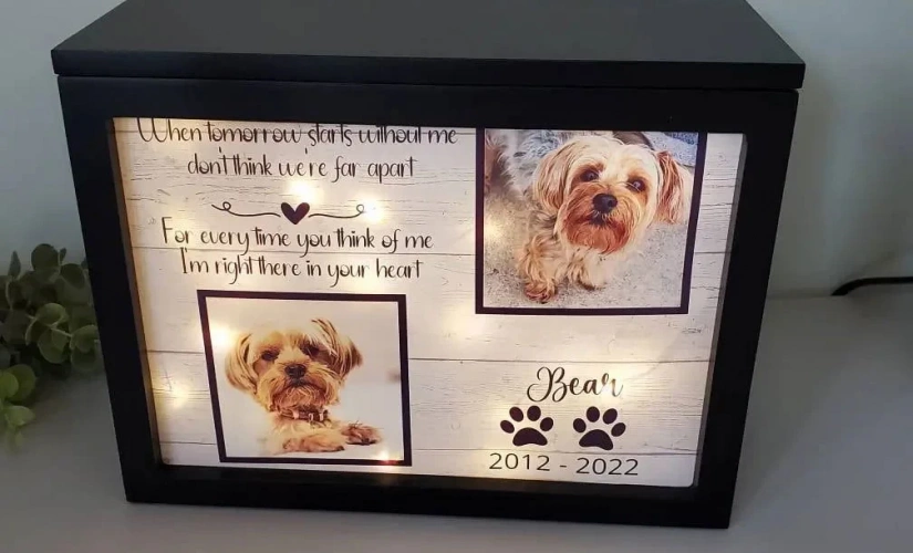 ideias de decoração para crematório de animais