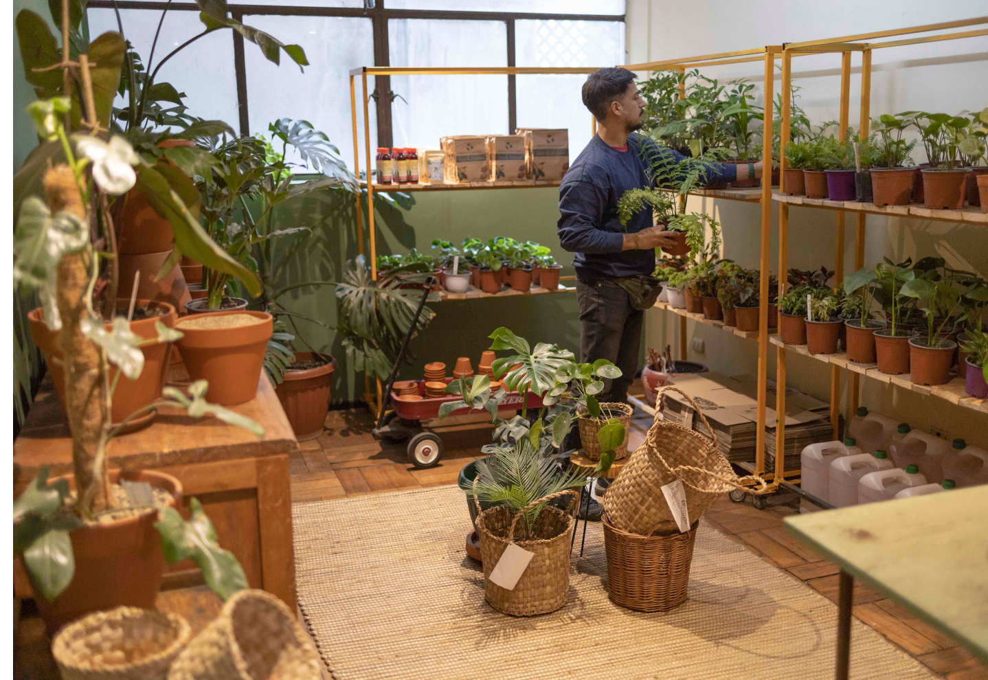 decoração de floricultura