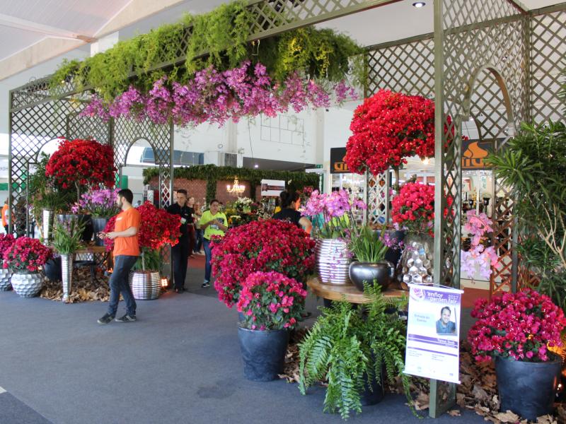 ideias de decoração para floricultura pequena