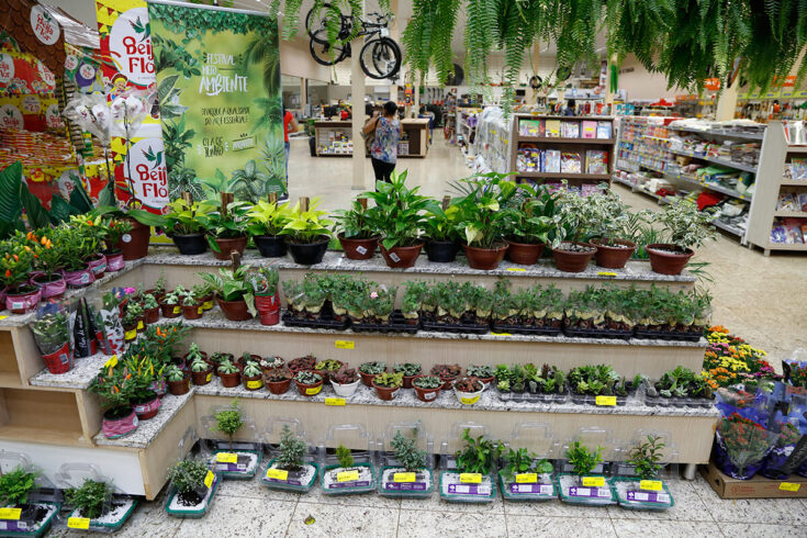 como decorar vitrine de floricultura para natal