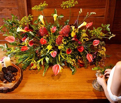 decoração de floricultura moderna vs rústica