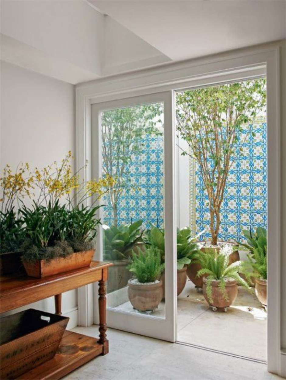 plantas pendentes para jardim de inverno pequeno