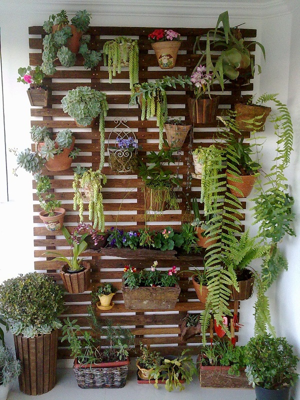plantas pendentes para jardim de inverno pequeno