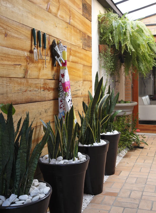 ideias criativas jardim de inverno pequeno