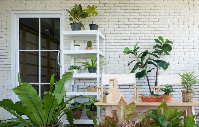 jardim de inverno pequeno vs jardim de varanda