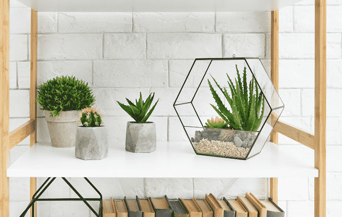 plantas artificiais vs plantas naturais para sala qual escolher