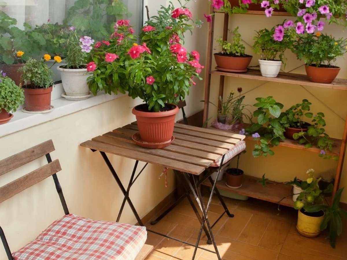 varanda pequena com plantas vs varanda sem plantas