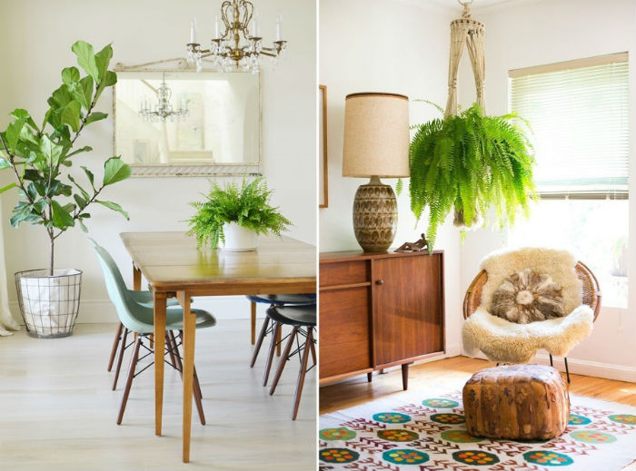 quanto custa decorar varanda pequena com plantas