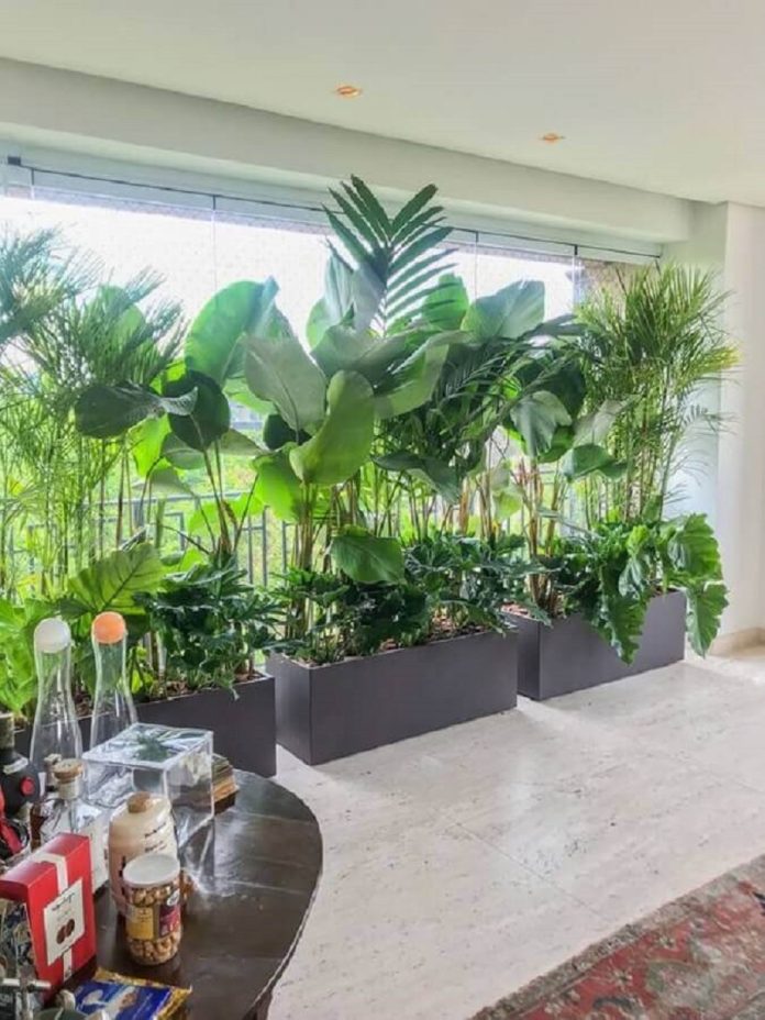 quanto custa decorar varanda pequena com plantas