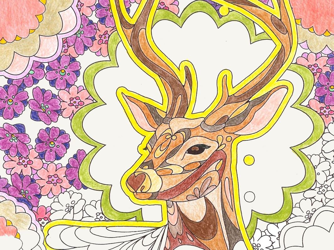 quanto custa comprar livros de colorir digitais