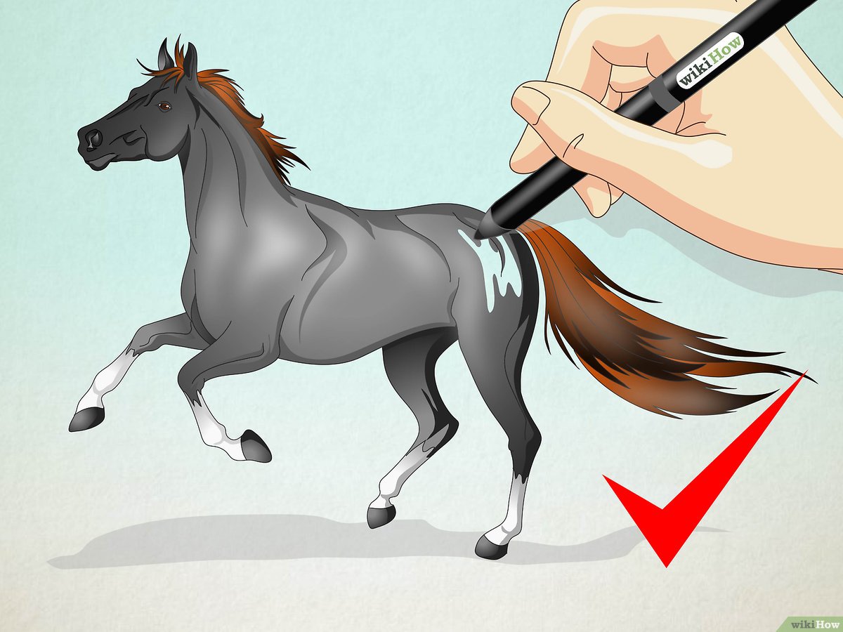 ideias de desenhos de cavalos para iniciantes