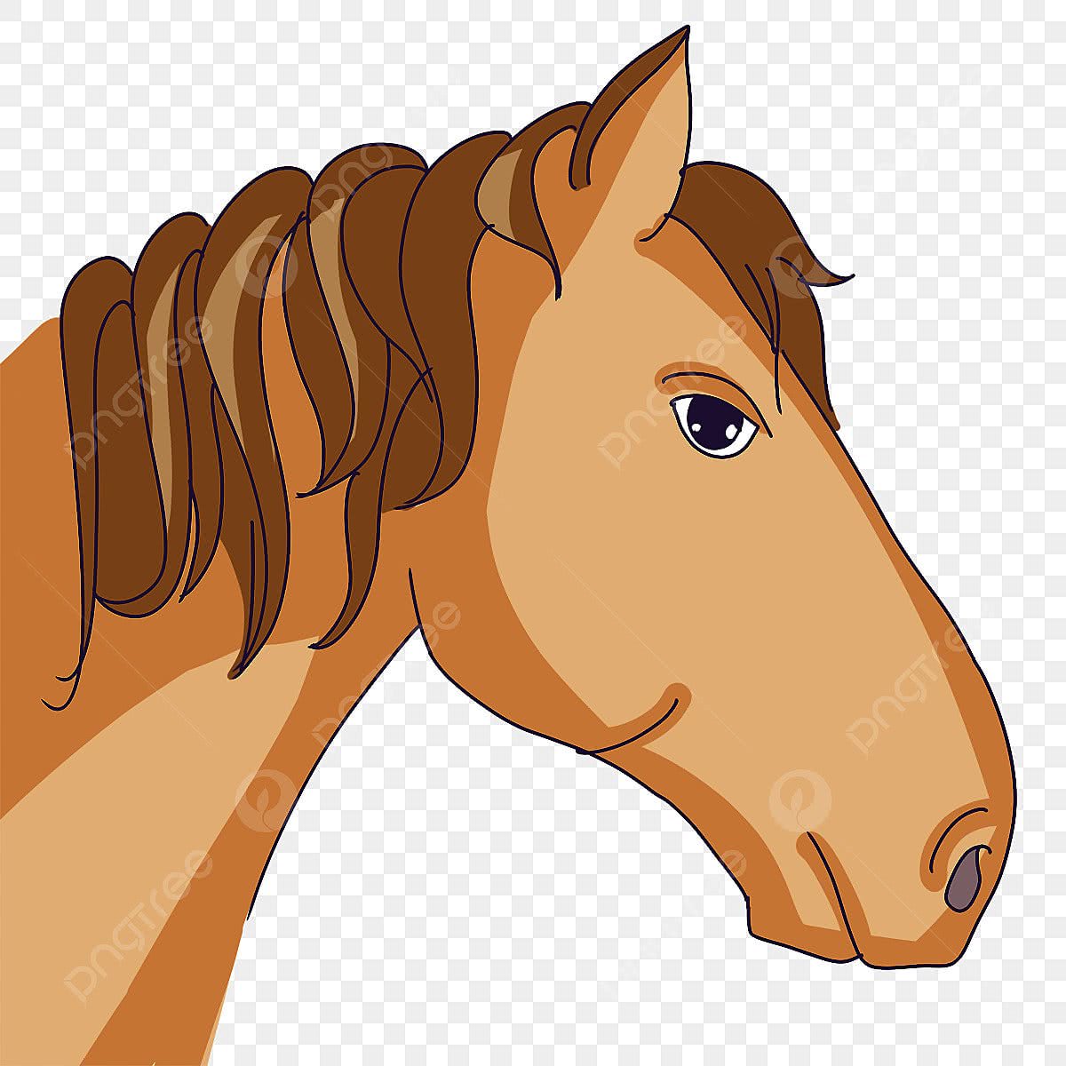 quanto custa contratar um ilustrador de cavalos