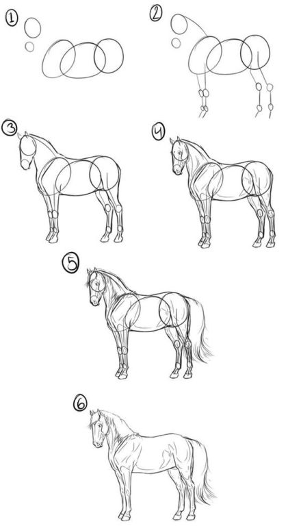 erros comuns ao desenhar cavalos