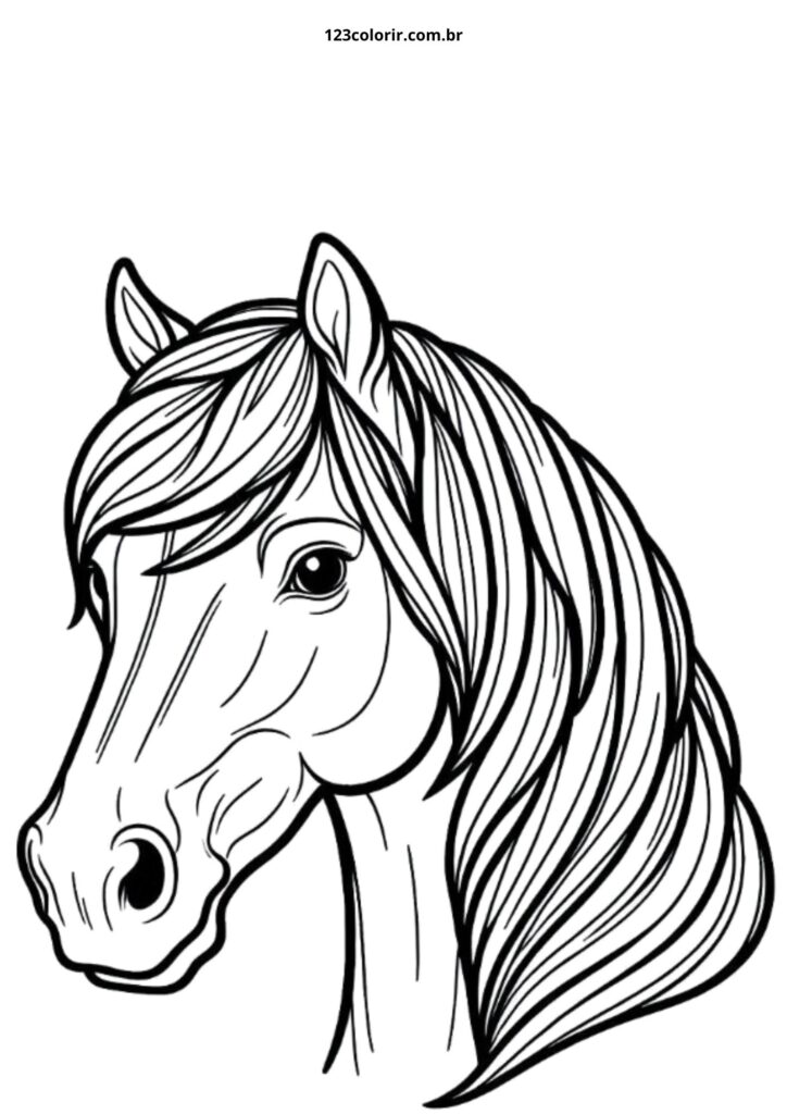 quanto custa contratar um ilustrador de cavalos