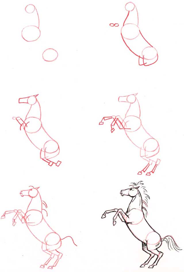 desenho de cavalo
